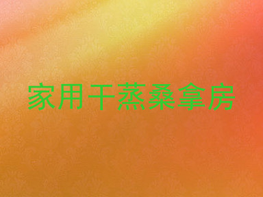 家用干蒸桑拿房
