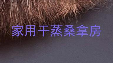 家用干蒸桑拿房