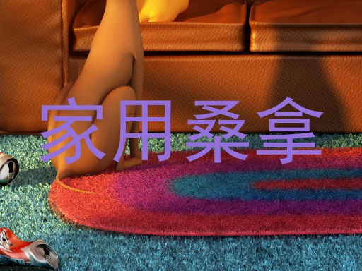 家用桑拿