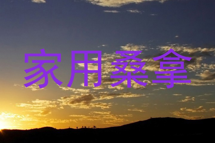 家用桑拿