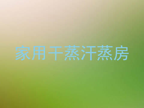 家用干蒸汗蒸房