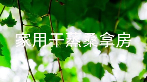 家用干蒸桑拿房