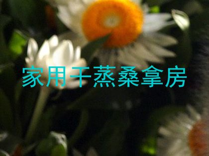 家用干蒸桑拿房