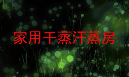 家用干蒸汗蒸房