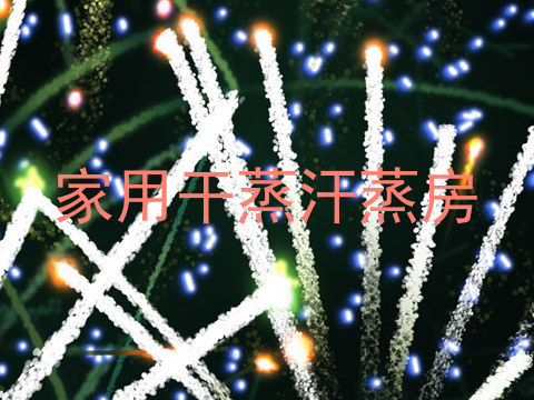 家用干蒸汗蒸房