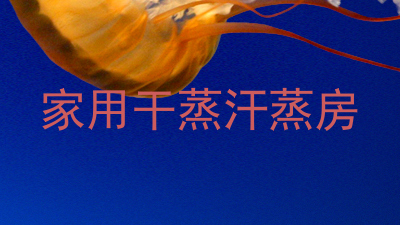 家用干蒸汗蒸房