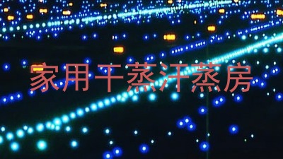 家用干蒸汗蒸房