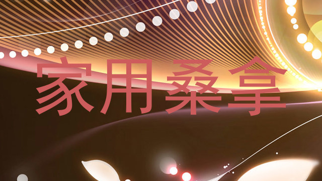 家用桑拿