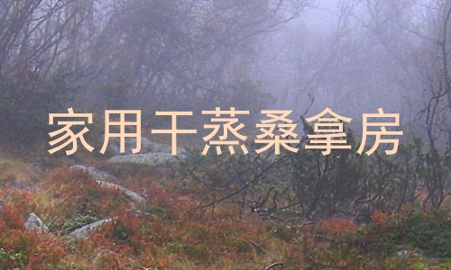 家用干蒸桑拿房