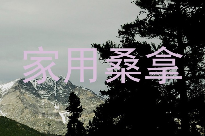 家用桑拿