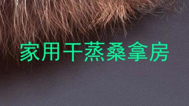家用干蒸桑拿房