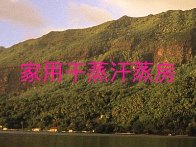 家用干蒸汗蒸房