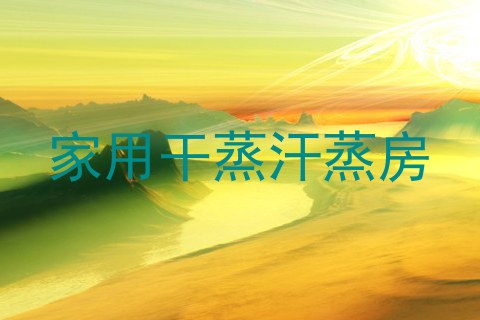 家用干蒸汗蒸房