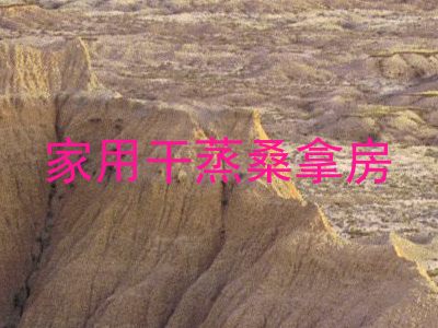 家用干蒸桑拿房