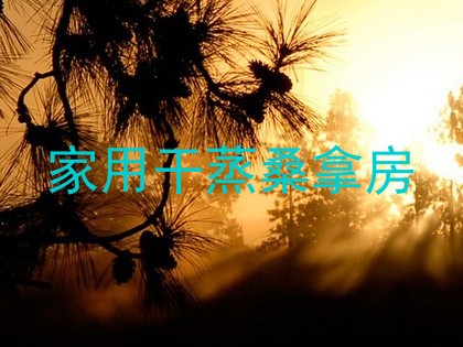 家用干蒸桑拿房
