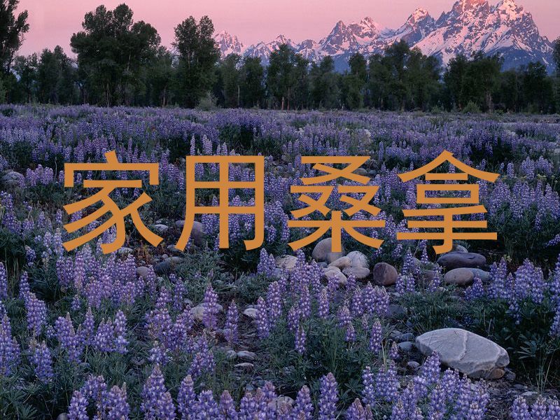 家用桑拿