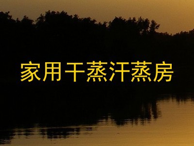 家用干蒸汗蒸房