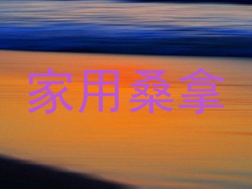 家用桑拿