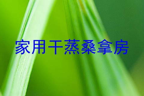 家用干蒸桑拿房