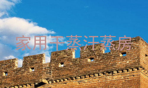家用干蒸汗蒸房