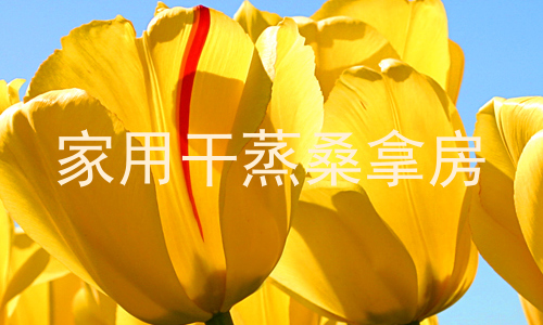 家用干蒸桑拿房