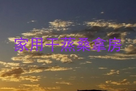 家用干蒸桑拿房