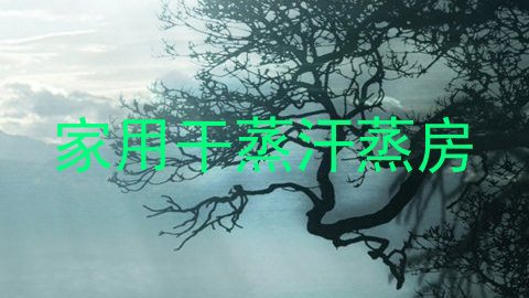 家用干蒸汗蒸房
