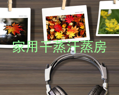 家用干蒸汗蒸房