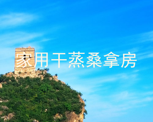 家用干蒸桑拿房
