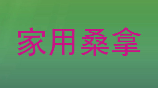 家用桑拿