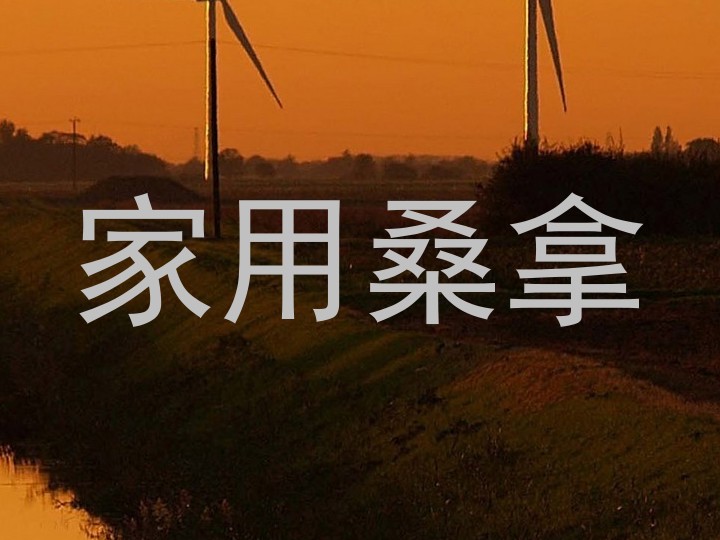 家用桑拿