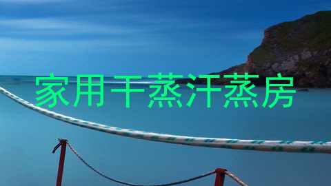 家用干蒸汗蒸房