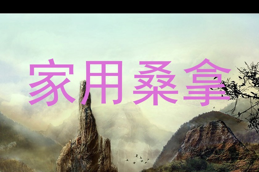 家用桑拿
