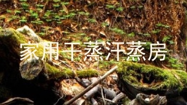 家用干蒸汗蒸房