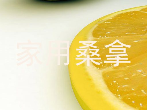家用桑拿
