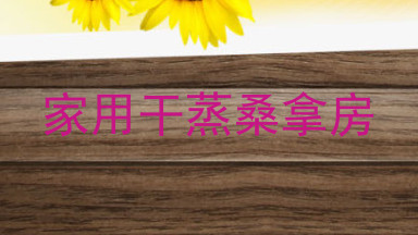 家用干蒸桑拿房