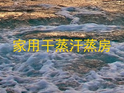 家用干蒸汗蒸房