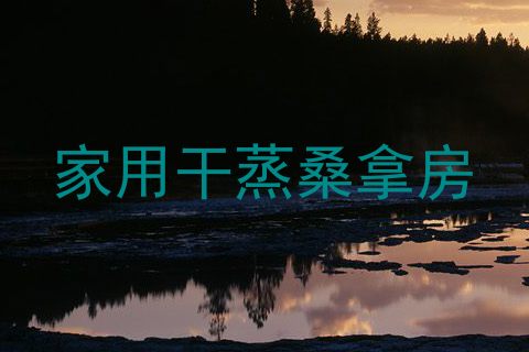 家用干蒸桑拿房
