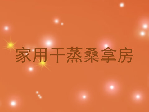 家用干蒸桑拿房