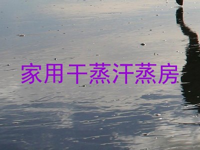 家用干蒸汗蒸房