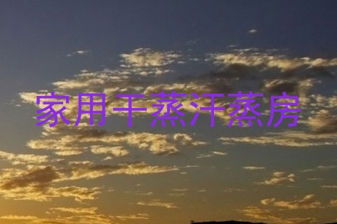 家用干蒸汗蒸房