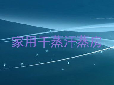 家用干蒸汗蒸房