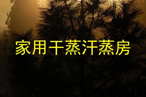 家用干蒸汗蒸房