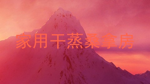 家用干蒸桑拿房