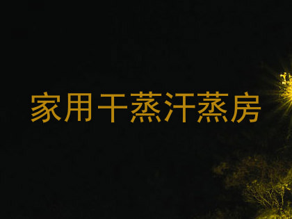 家用干蒸汗蒸房