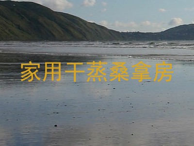 家用干蒸桑拿房