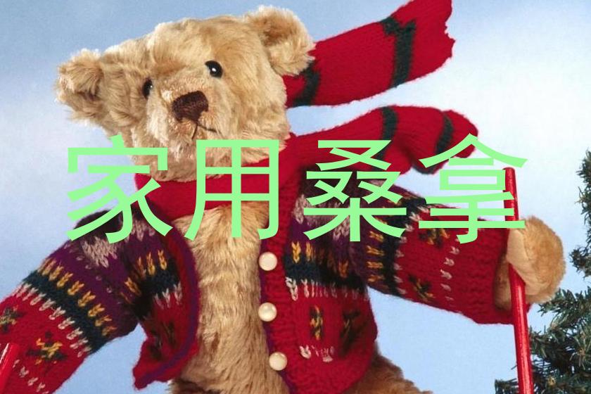 家用桑拿
