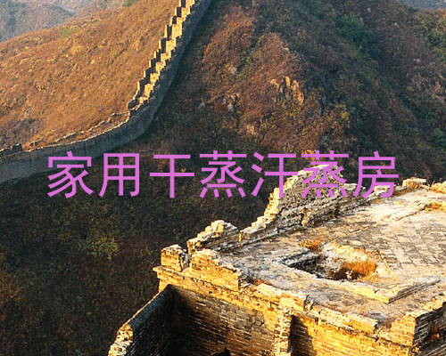 家用干蒸汗蒸房