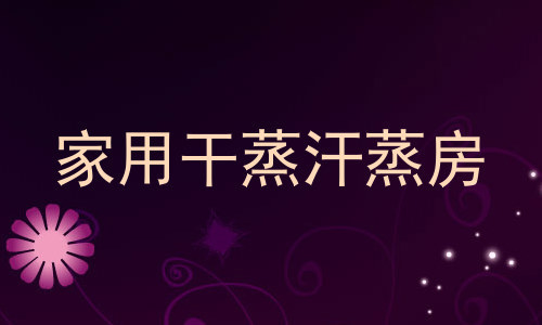 家用干蒸汗蒸房