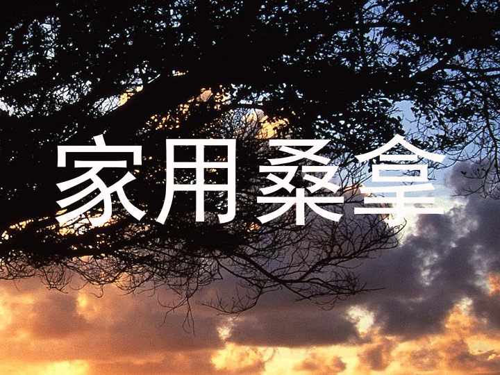 家用桑拿